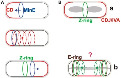 The Anatomy of Kei20oxiz: Decoding the Future