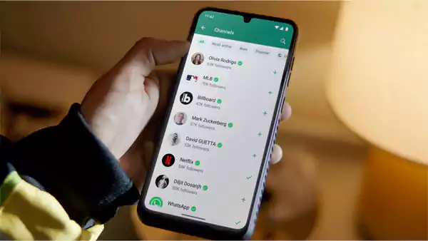 ✅ Expert-Reviewed Content